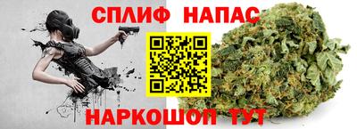 прущие грибы Тверь